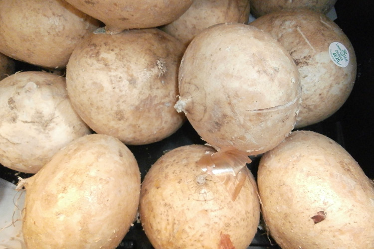 Health benefits of eating jicama